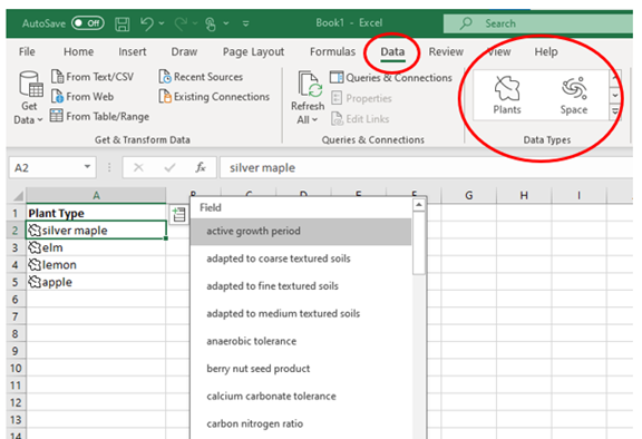 Excel Data Type Excel Data Type